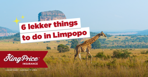 6 lekker things to do in Limpopo | King Price Insurance