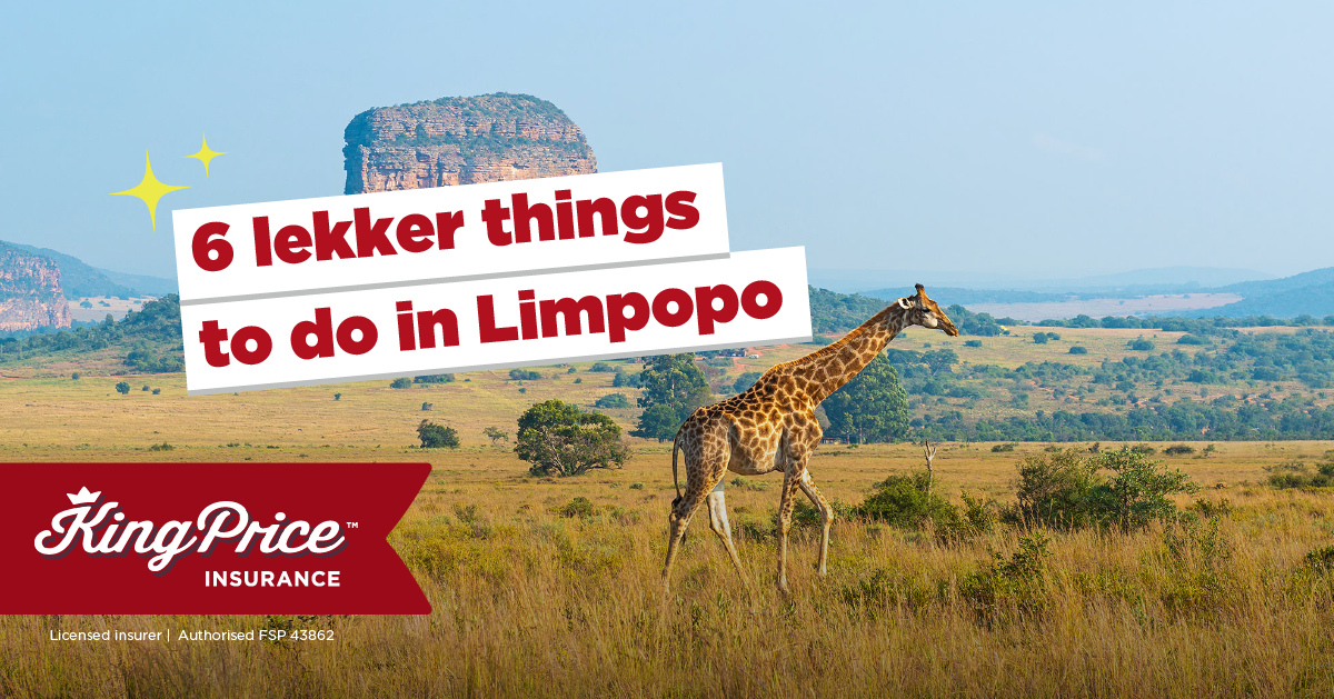 6 Lekker Things To Do In Limpopo 